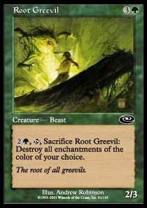 Root Greevil