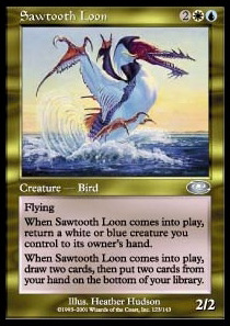 Sawtooth Loon