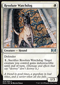 Resolute Watchdog