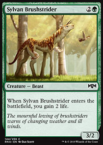 Sylvan Brushstrider