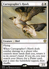 Cartographer's Hawk