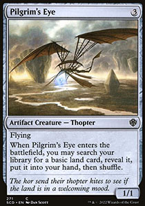 Pilgrim's Eye