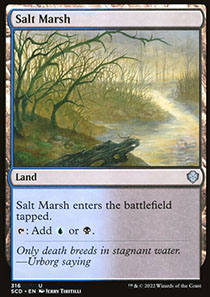 Salt Marsh