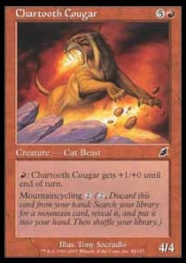 Chartooth Cougar