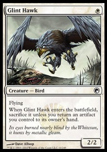 Glint Hawk