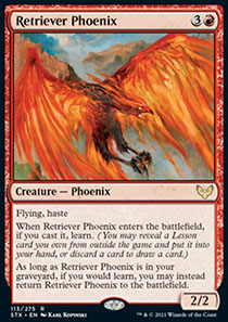 Retriever Phoenix