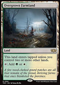 Overgrown Farmland