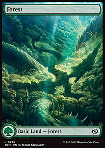 Forest