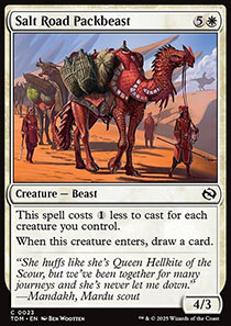 Salt Road Packbeast