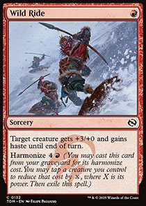 Wild Ride