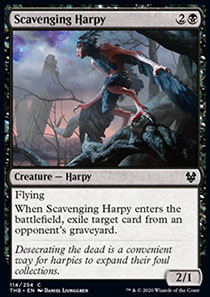 Scavenging Harpy