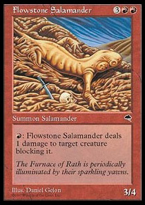 Flowstone Salamander