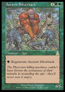 Ancient Silverback