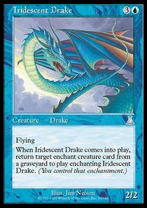 Iridescent Drake