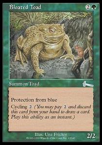 Bloated Toad