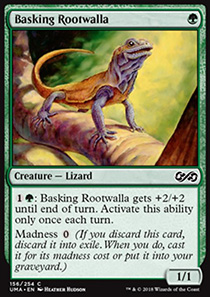 Basking Rootwalla