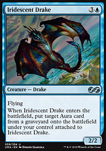 Iridescent Drake