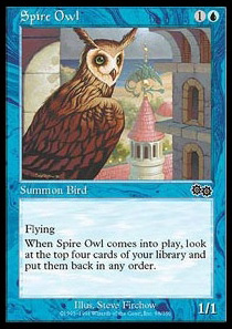 Spire Owl