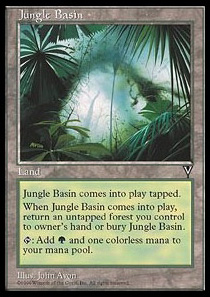 Jungle Basin