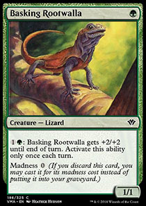 Basking Rootwalla