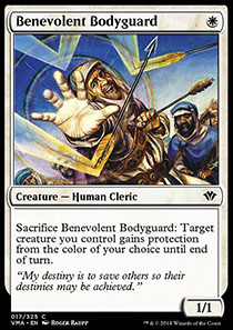 Benevolent Bodyguard