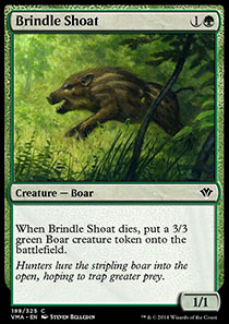 Brindle Shoat