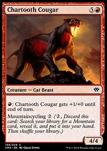 Chartooth Cougar