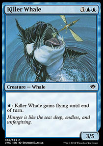 Killer Whale