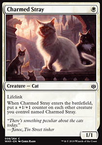 Charmed Stray