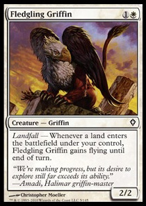 Fledgling Griffin