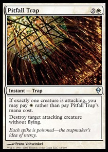 Pitfall Trap