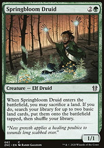 Springbloom Druid