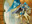 Court Hussar