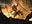 Edward Kenway