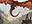Chaos Dragon