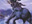 Trumpeting Armodon