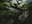 Mortuary Mire