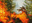 Volcanic Offering