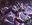 Grave Pact