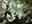 Eyeblight Massacre