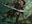 Llanowar Stalker