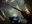 Cultist's Staff
