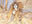 Azusa, Lost but Seeking