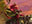 Ashroot Animist