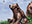 Bear Cub