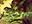 Reclamation Sage