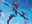 Dragoon's Lance