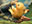 Sazh's Chocobo