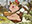 Stiltzkin, Moogle Merchant