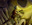 Corpse Churn